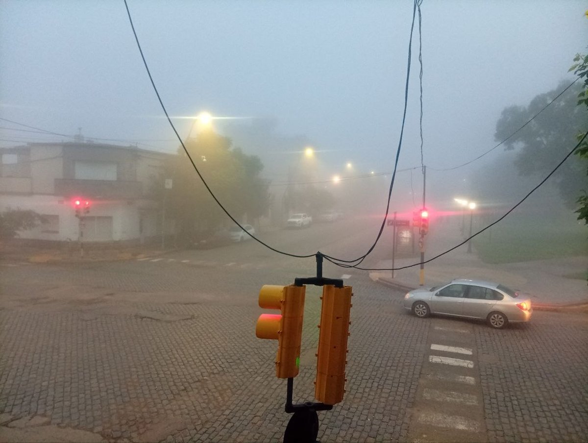 Nazareno Furguelle tweet media