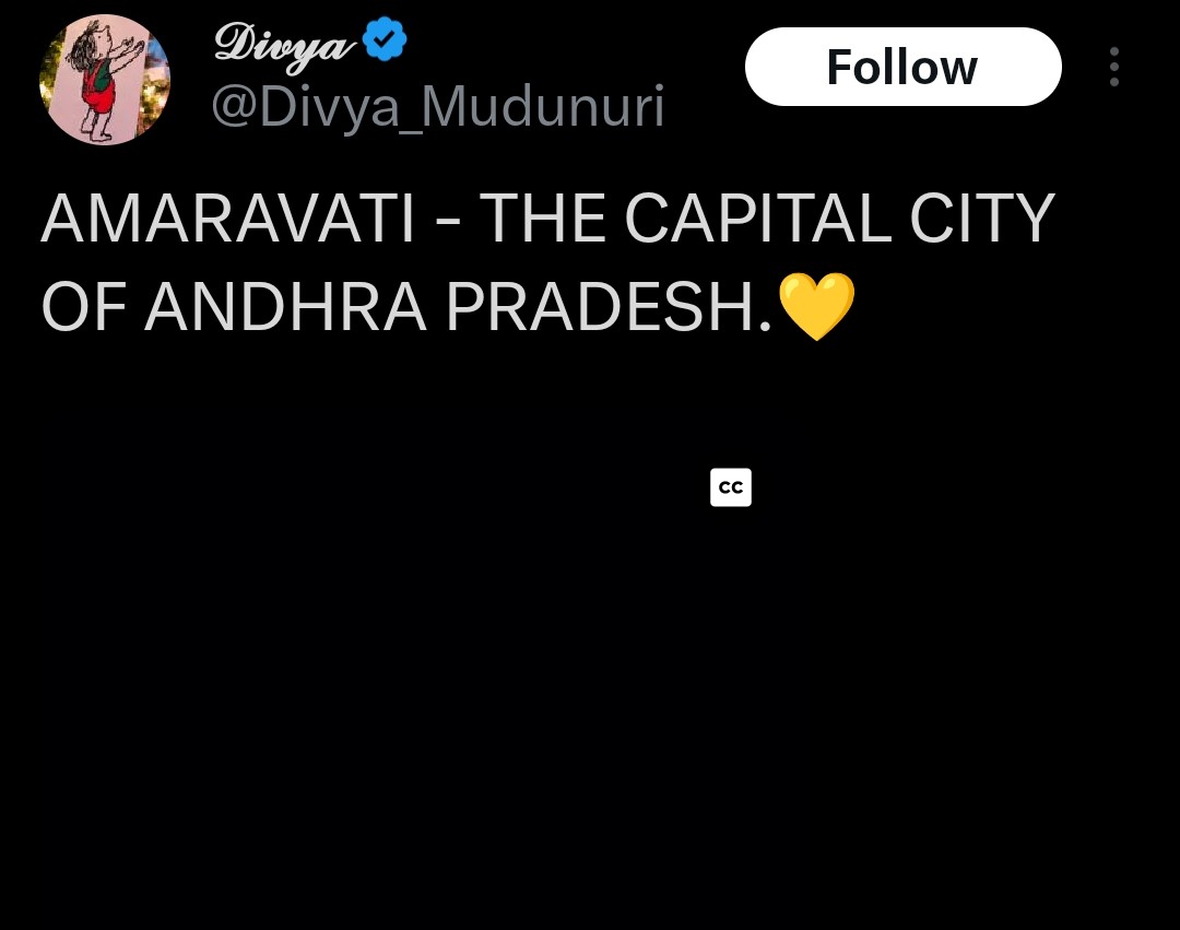 diplomat tweet media