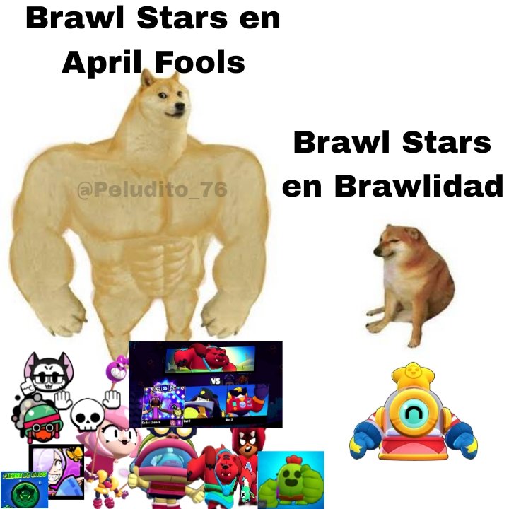 💤 Peludito 76 💤 tweet media