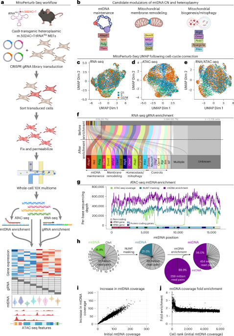NatureStructMolBiol tweet media