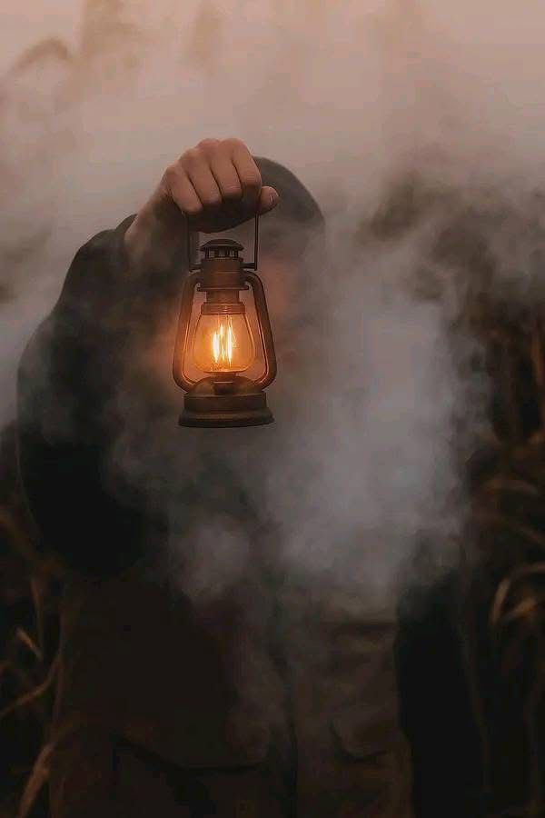 #ظليل..🇸🇦💚 tweet media