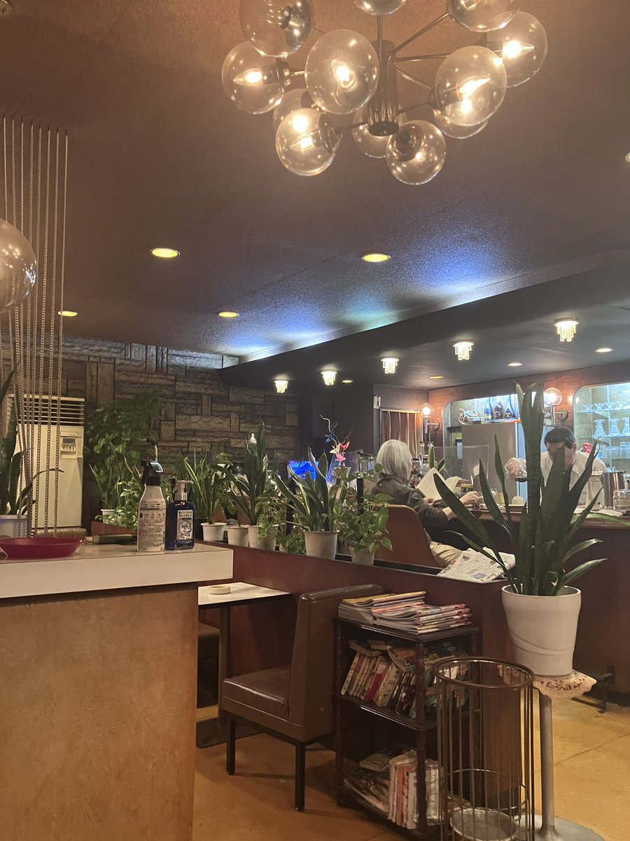 ⸝꙳.⋆‧⁺ ⊹˚. tweet media