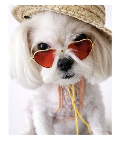 임태현 아카이브 tweet media