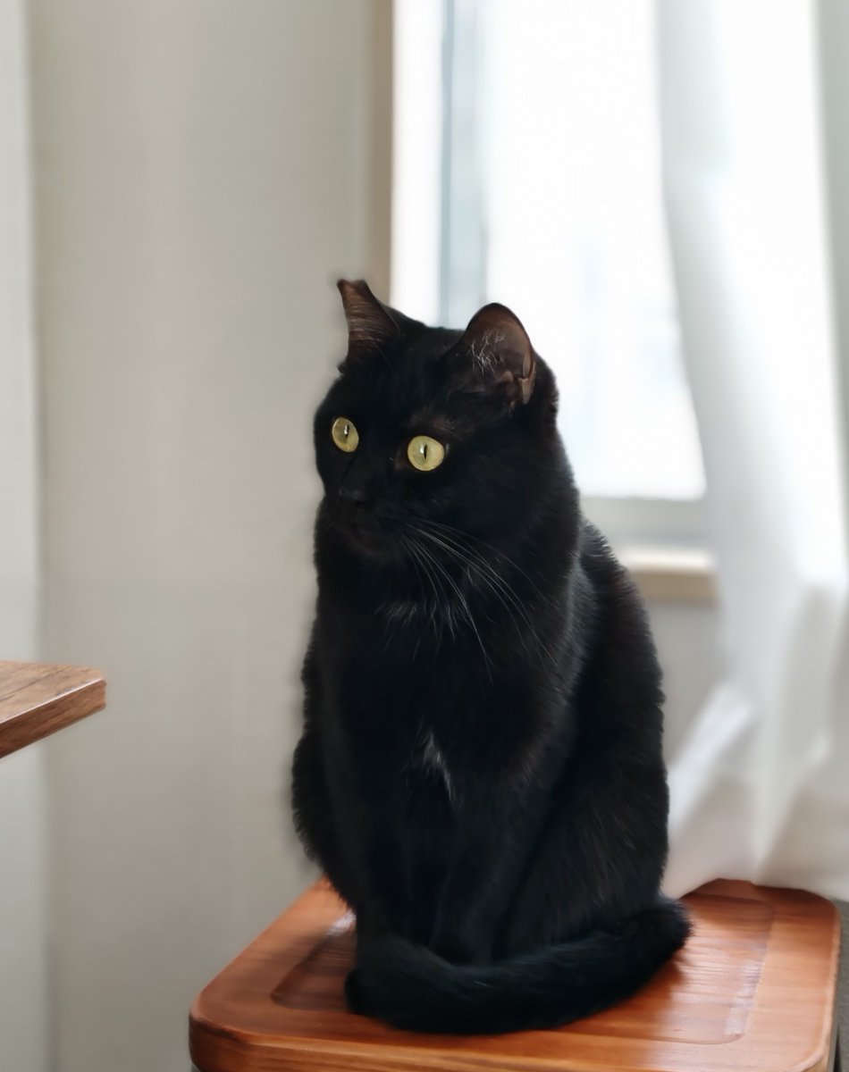 みるここ tweet media