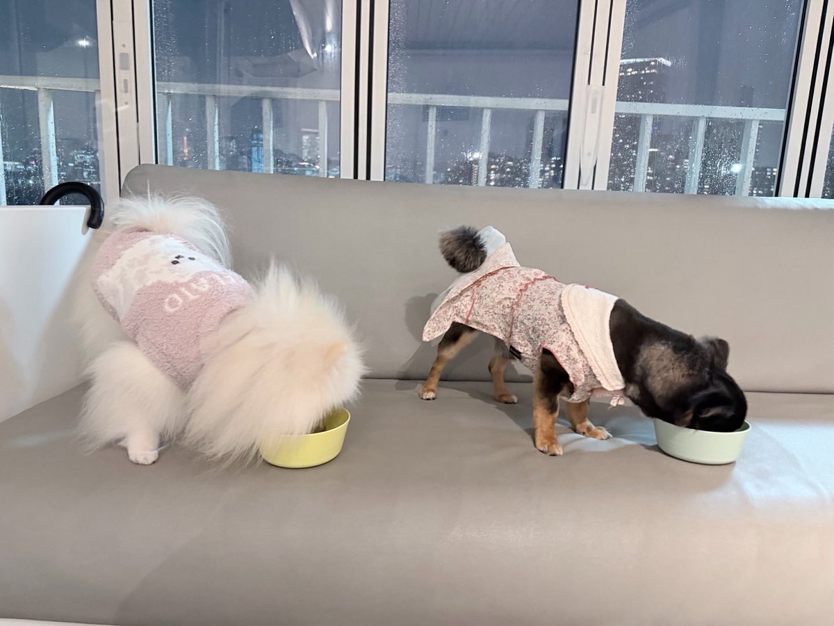 三田真鈴（みたまりん） tweet media