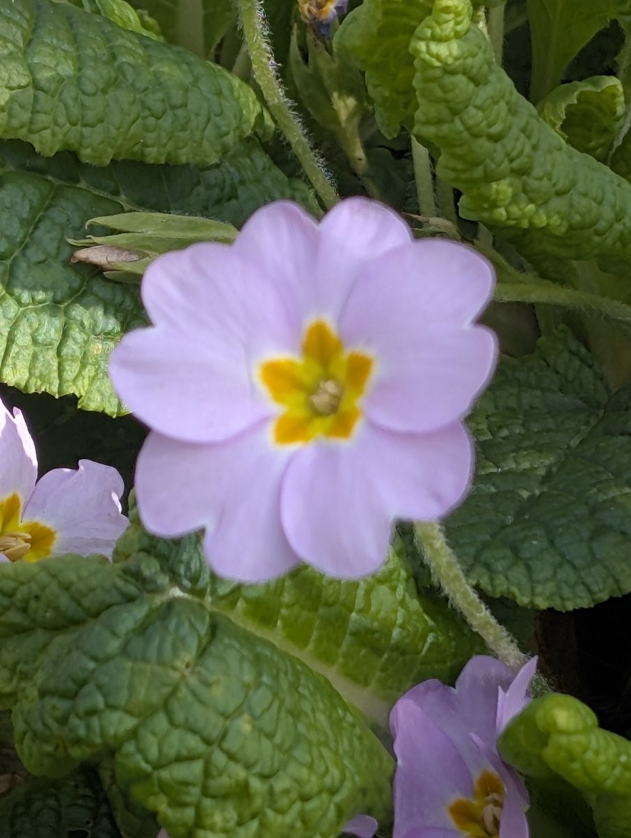 🎧 lucie jane 🌧️ tweet media