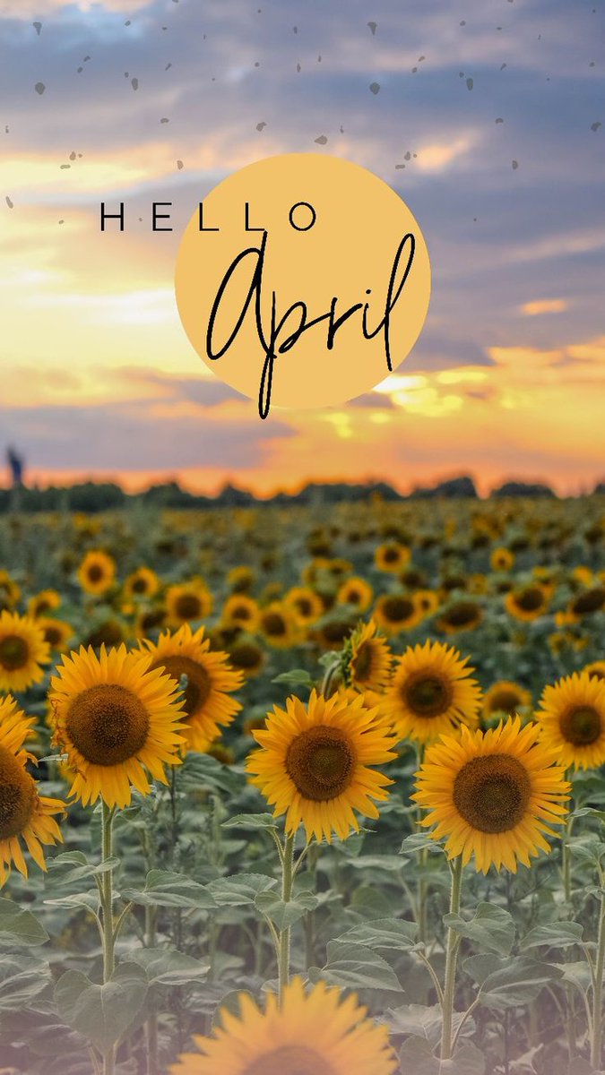 Mitsue Butler 💍💖💎🎀 tweet media