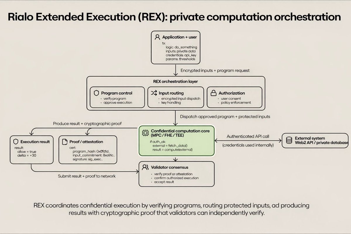meo w—猫猫 tweet media