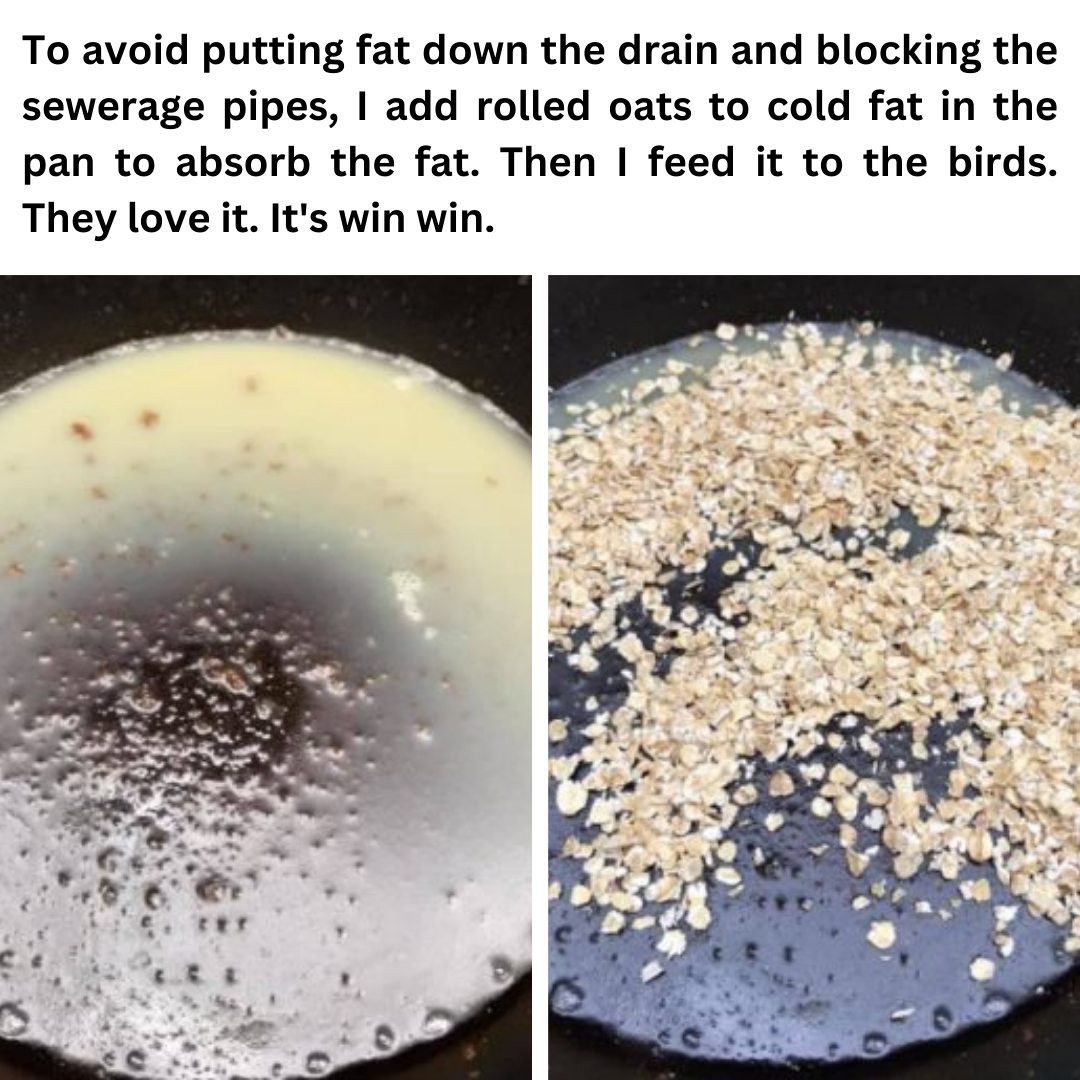 HenrySaylorr's tweet photo. #thelostsuperfoods #livingoffgrid #prepper #preppertalk #survivallife https://t.co/e8FJiHrrYg