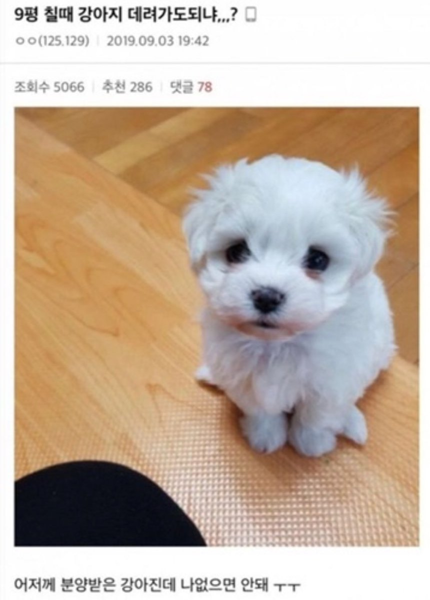 정이ver.3 tweet media