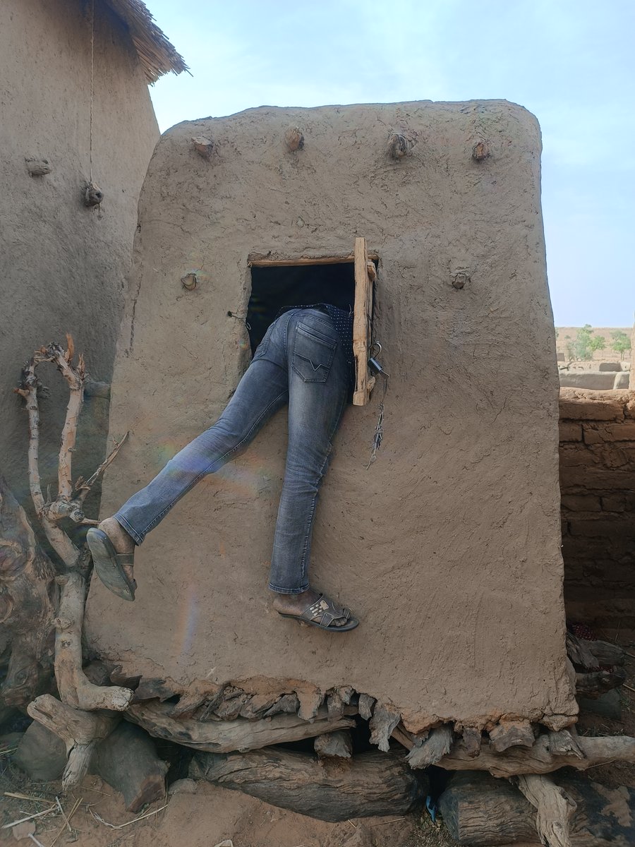 UNESCO MALI tweet media