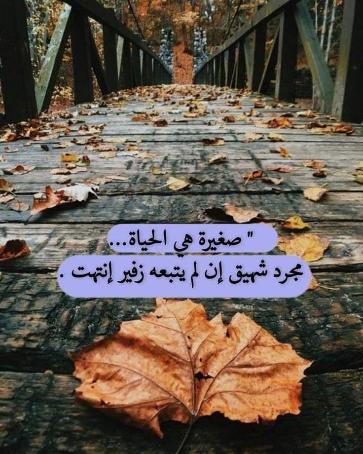 إبتسام بنت عبدالله عوض باجبير مواليد ١٣٨١ هجريه tweet media