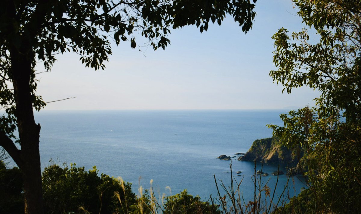 かれん tweet media