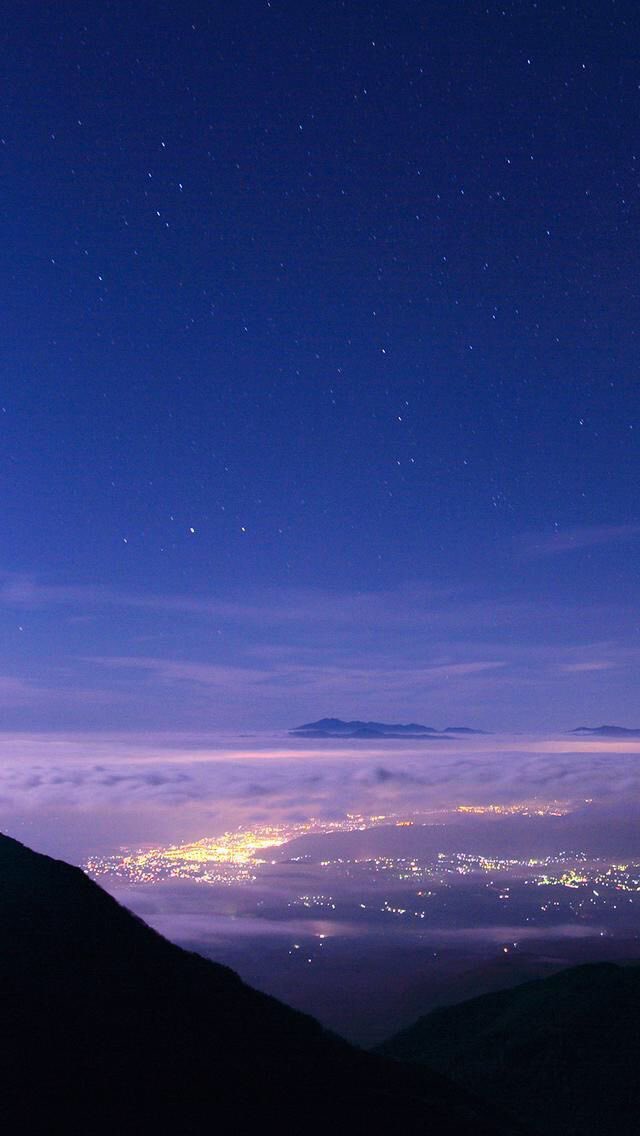 The Vibe Archive tweet media