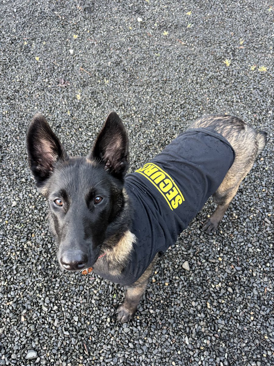 Standing up for truth and freedom 👧 tweet media