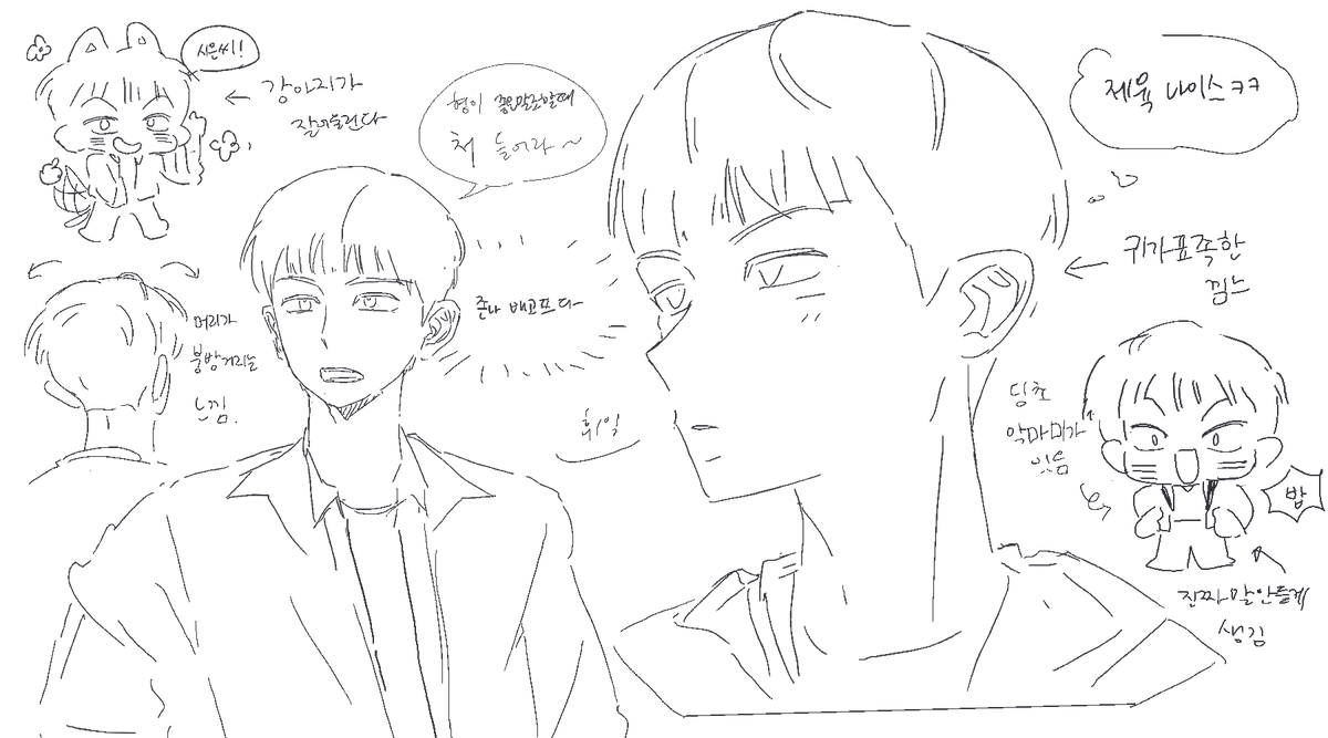 보자기 tweet media