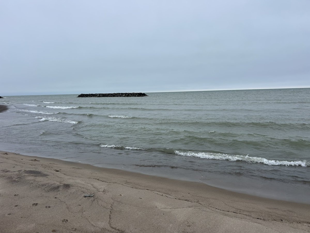 Elspeth Mizner tweet media