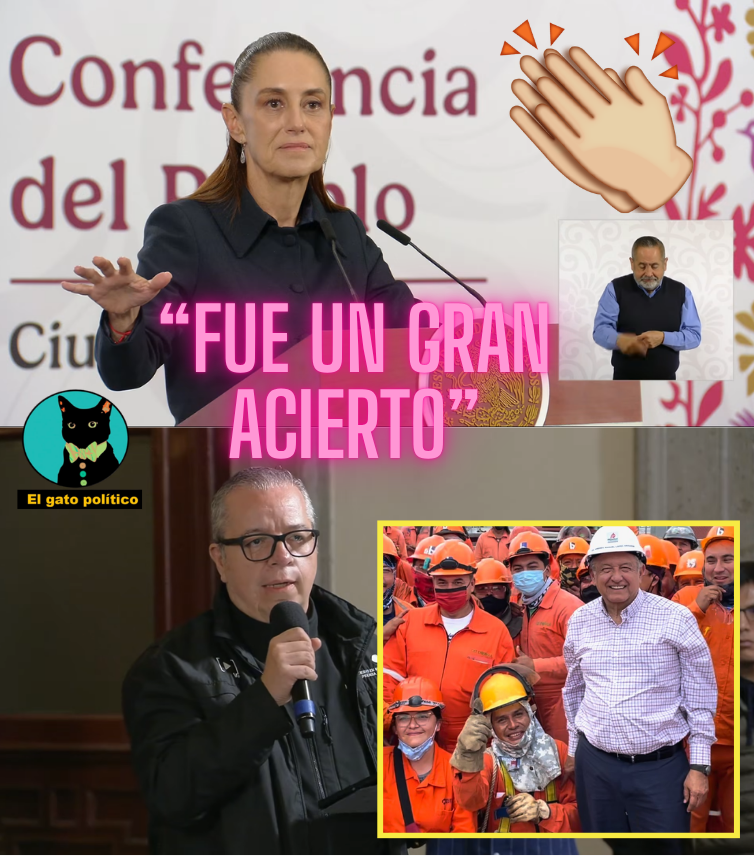 El gato político tweet media