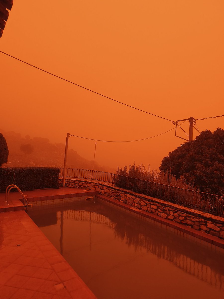 jean d'arc(adia) tweet media