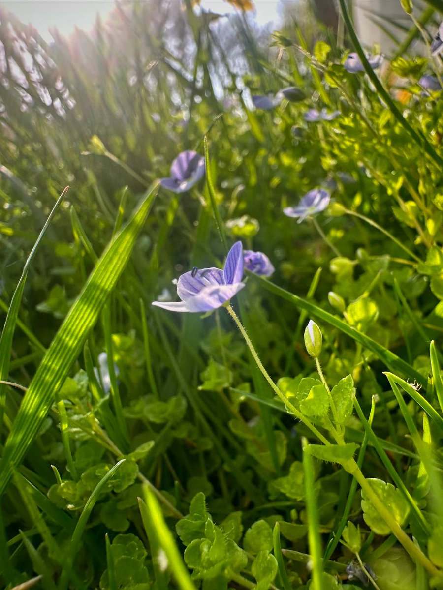 Sevinch✌🏾 tweet media