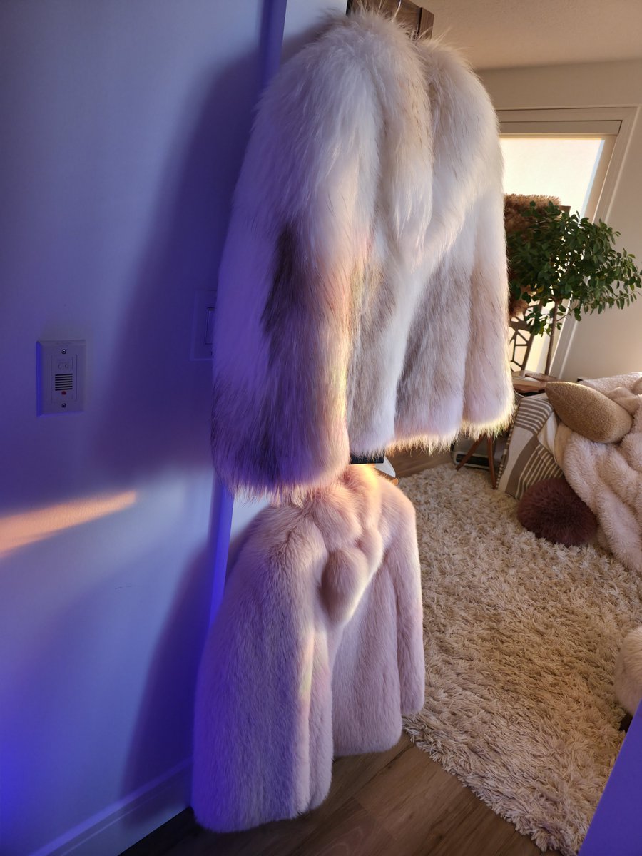 FurFetFun tweet media