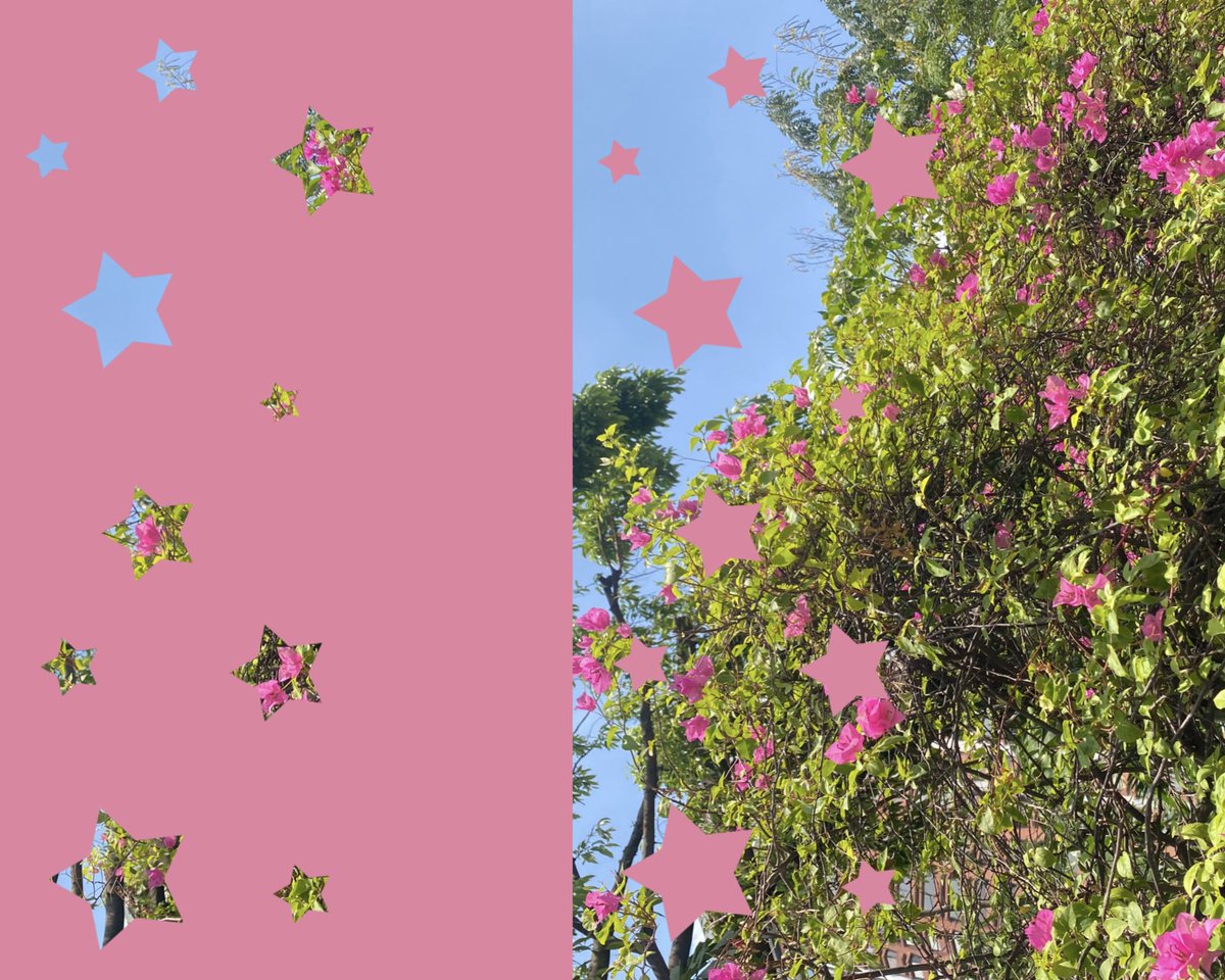 bae chhi ੈ✩ tweet media