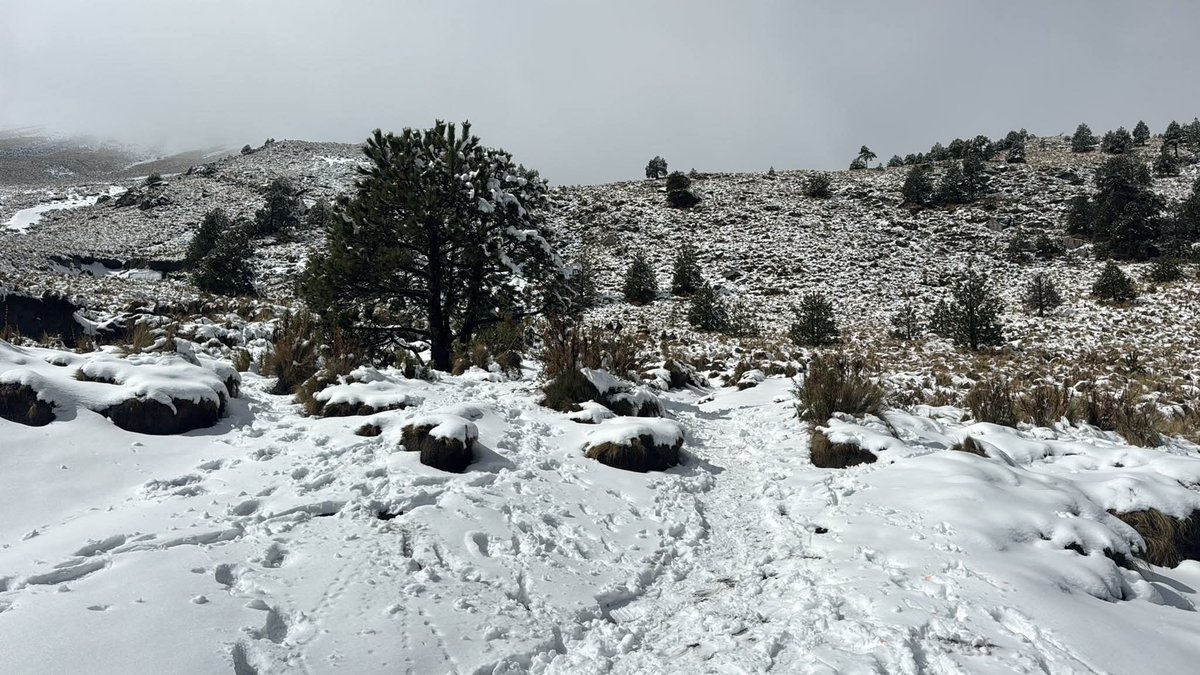 Contrapropuesta Mx tweet media