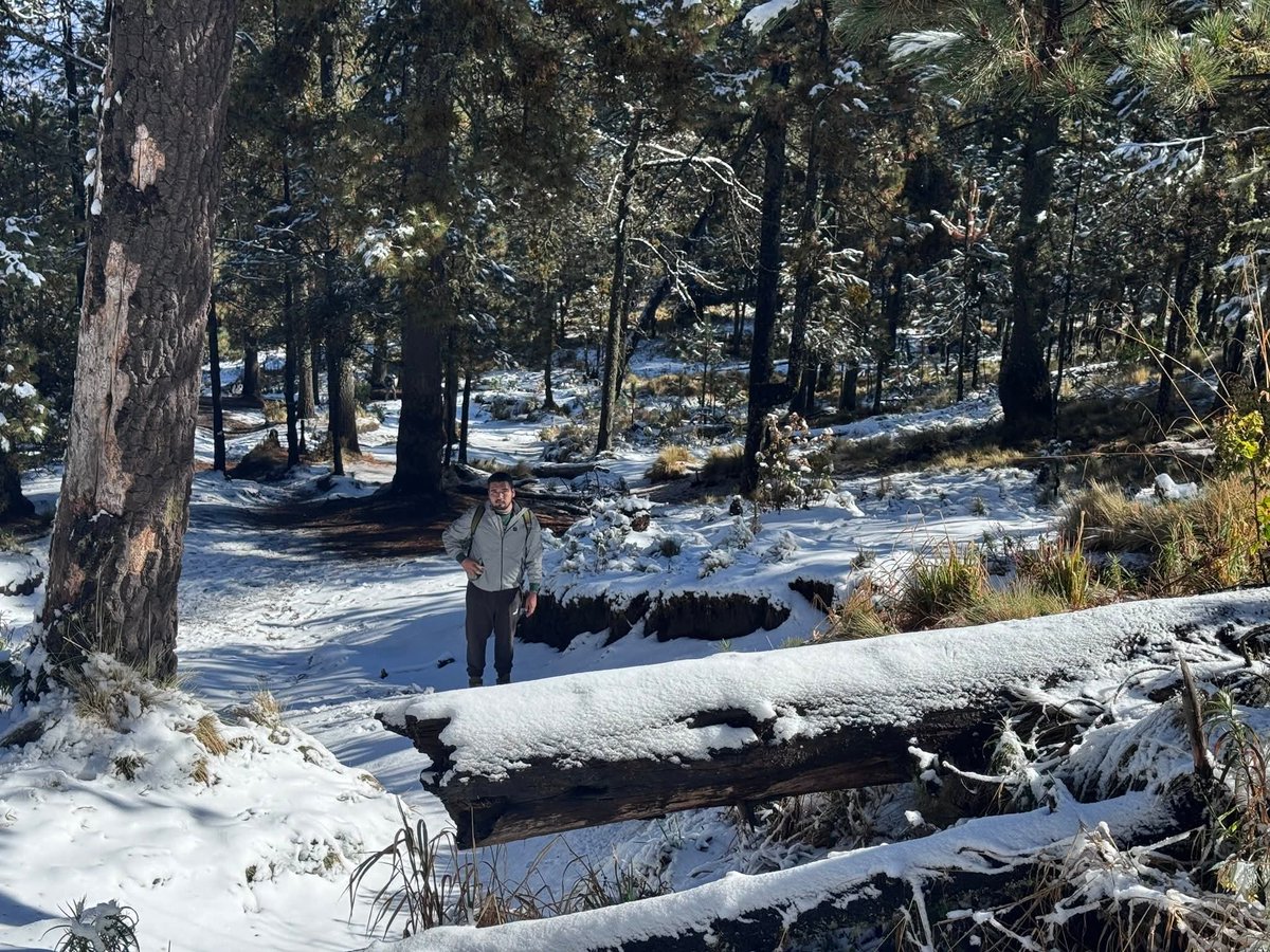 Contrapropuesta Mx tweet media