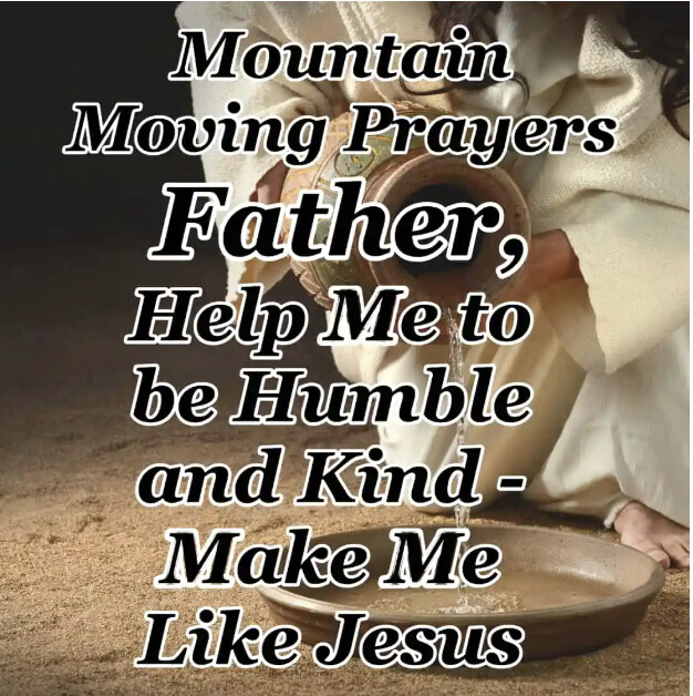 Deb Wolf tweet media