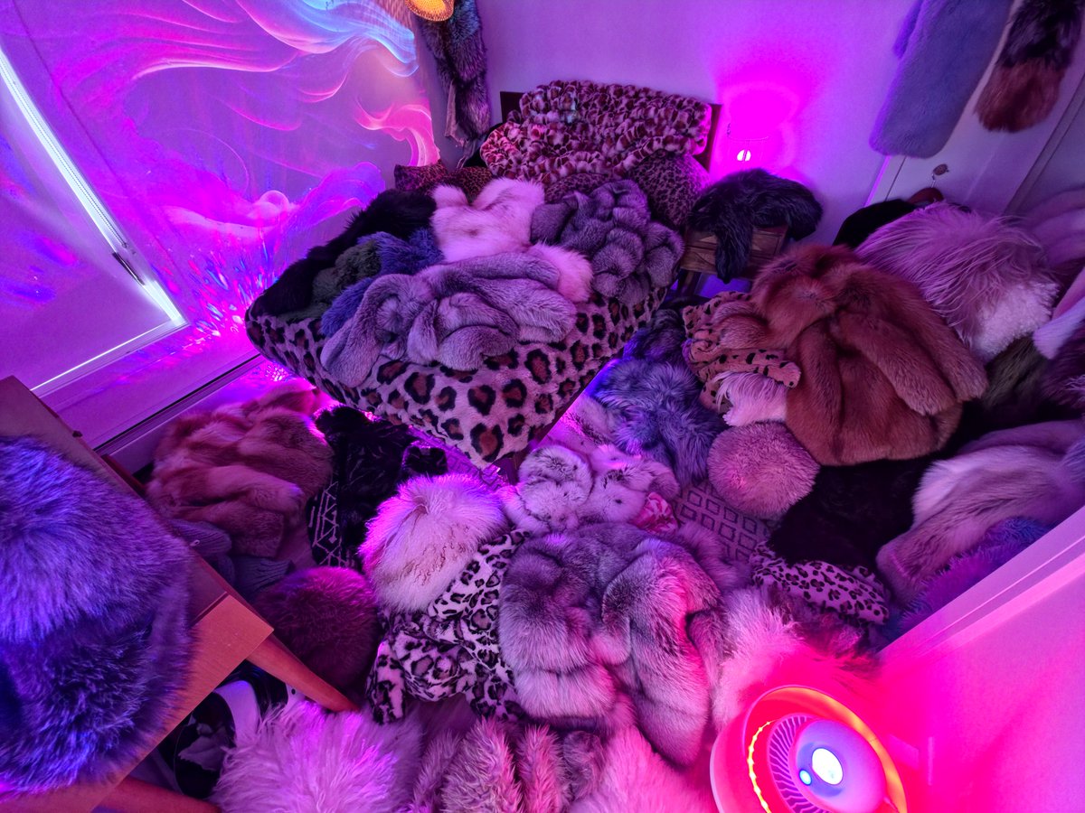 FurFetFun tweet media