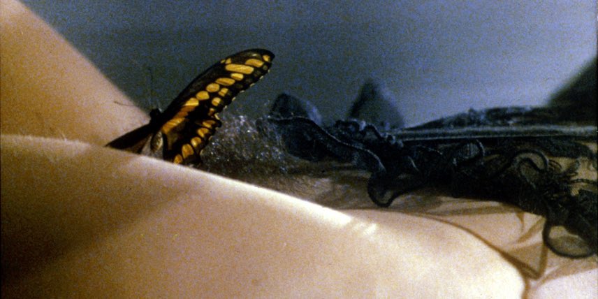 Matheus Marchetti tweet media