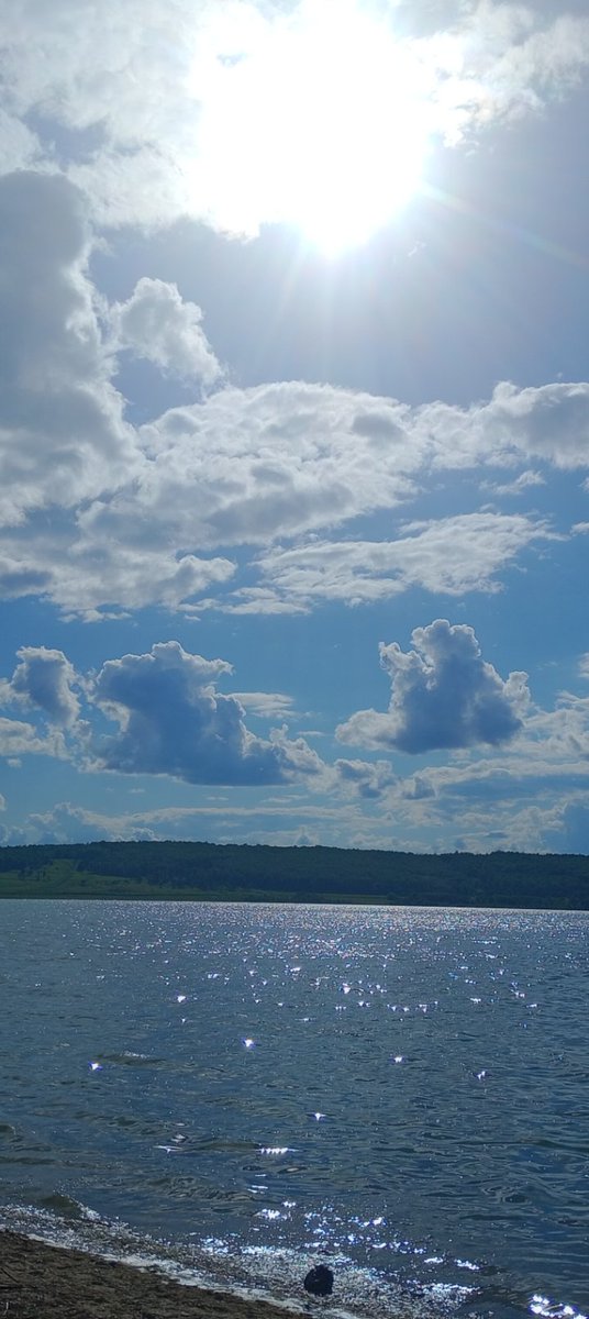 Grapeytea ☕🍇 tweet media