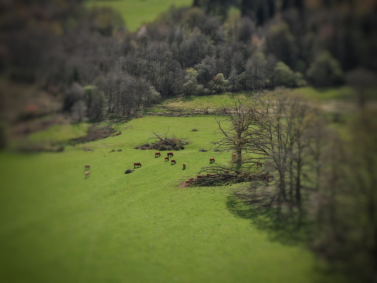 Sly Drone tweet media