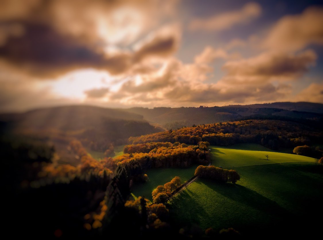 Sly Drone tweet media