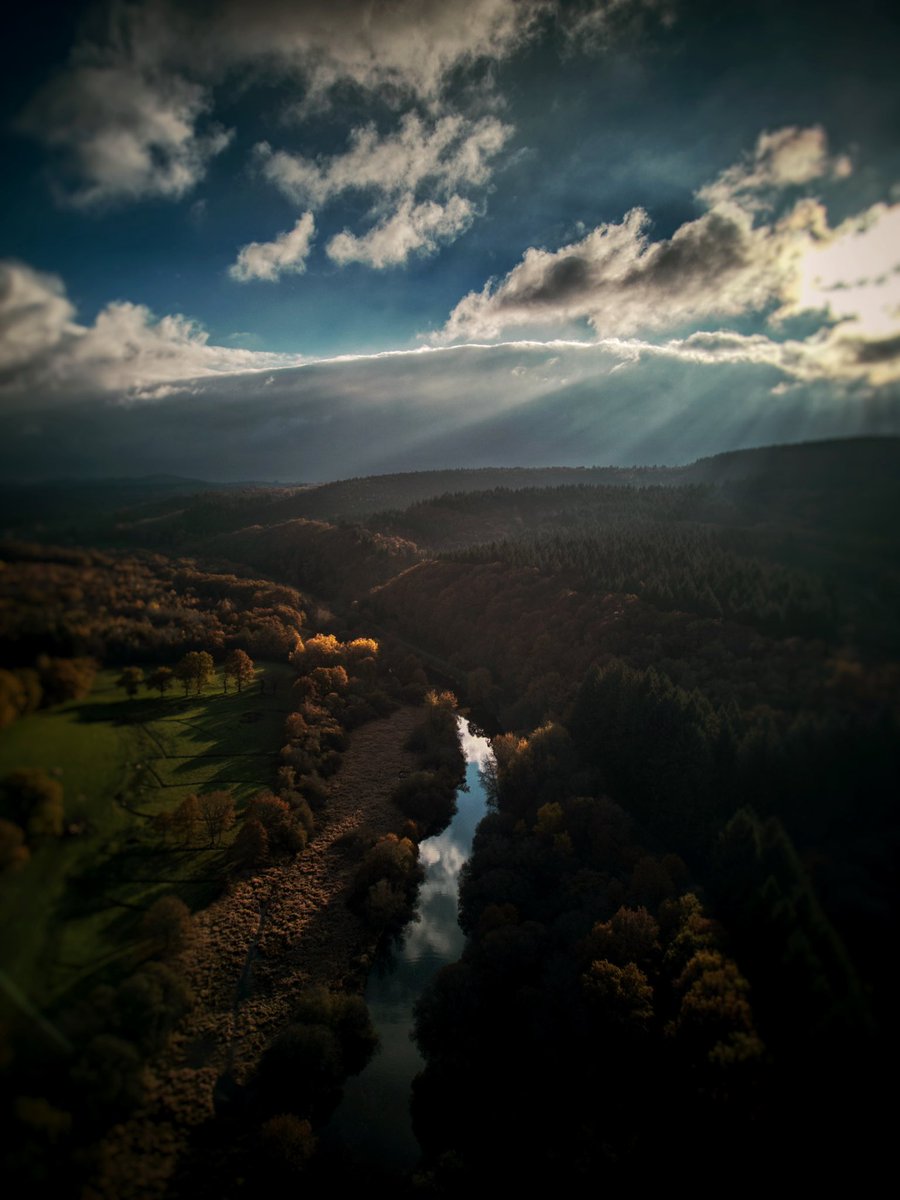 Sly Drone tweet media