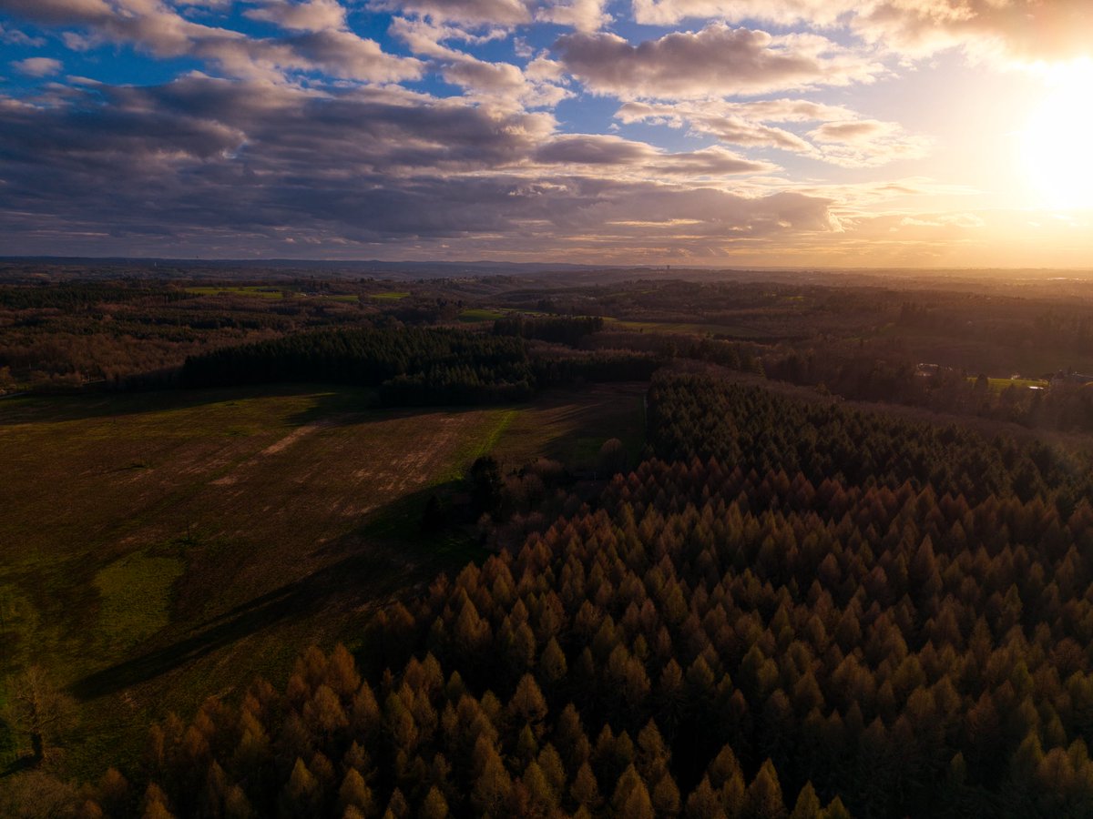 Sly Drone tweet media