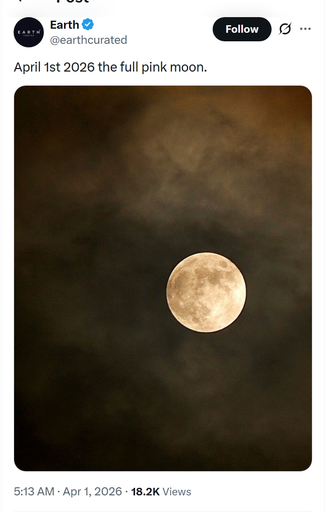 ItsSercorimo tweet media