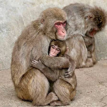 Jonathan Hayes tweet media