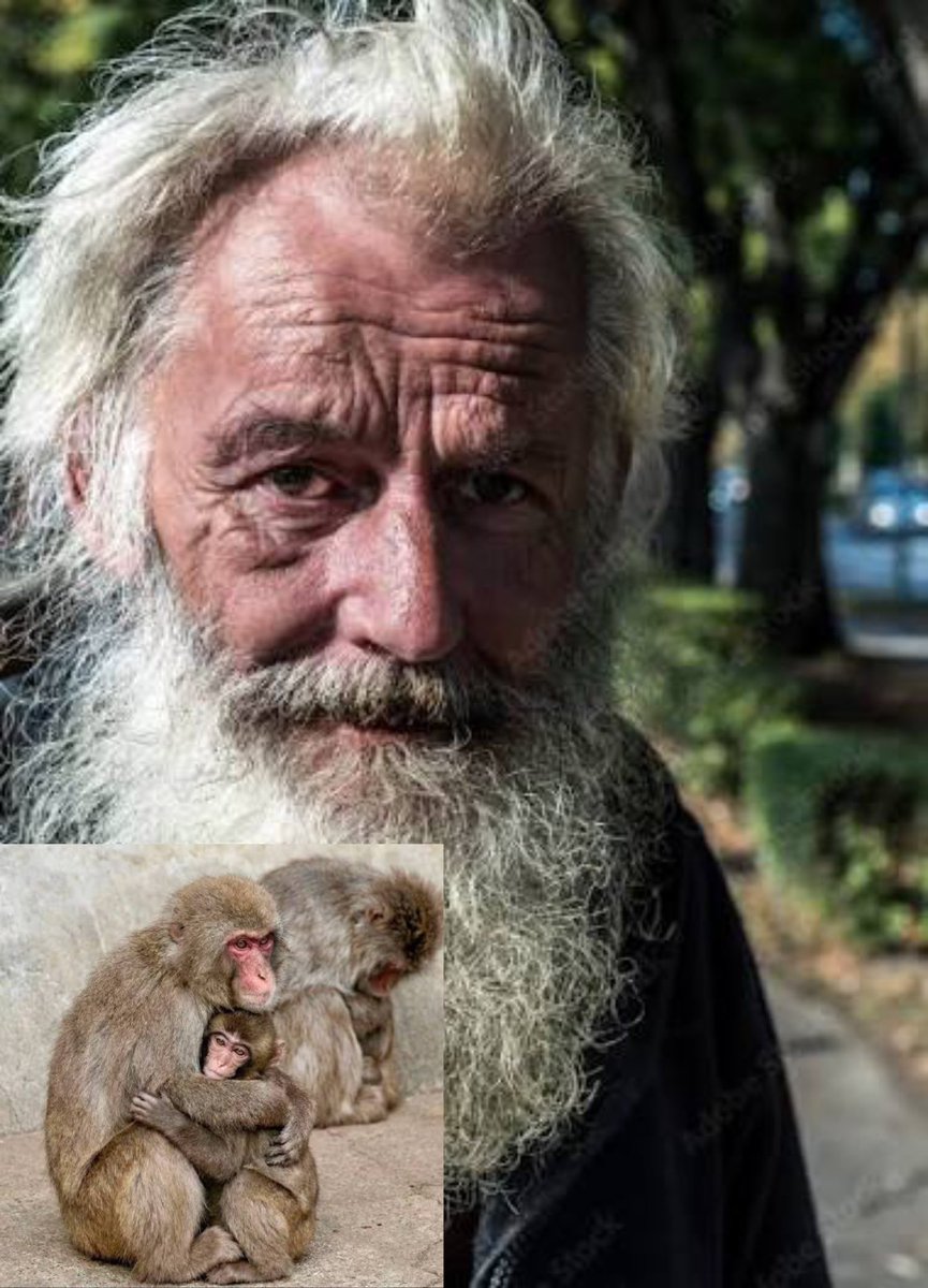 Jonathan Hayes tweet media