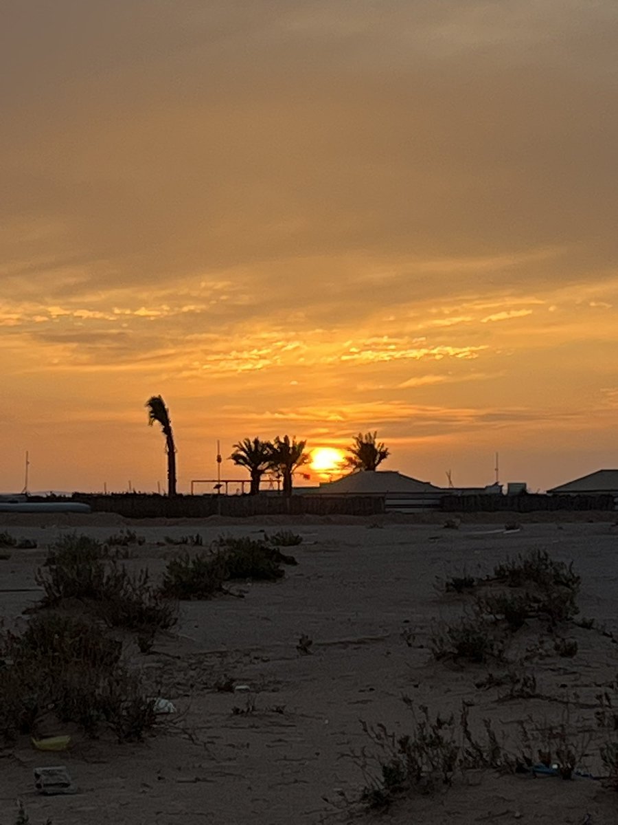 محمد الخربوش tweet media