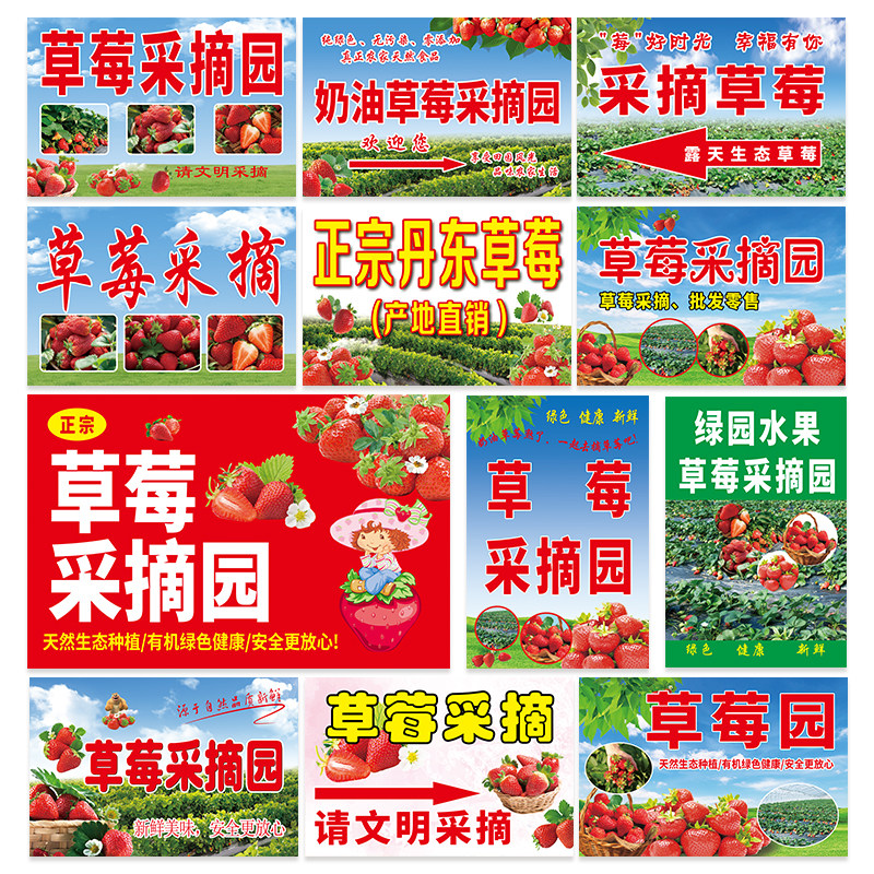 Ruoxi Yu tweet media