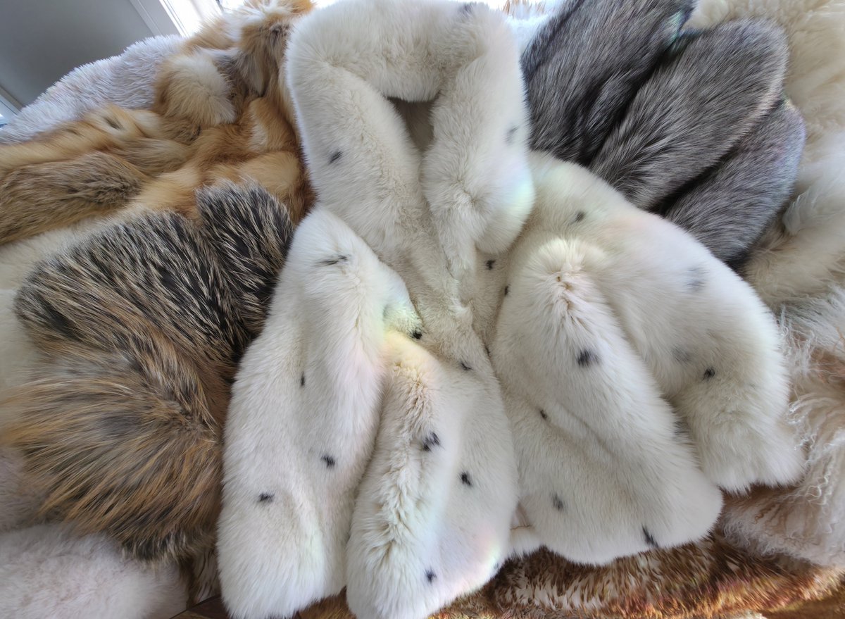 FurFetFun tweet media