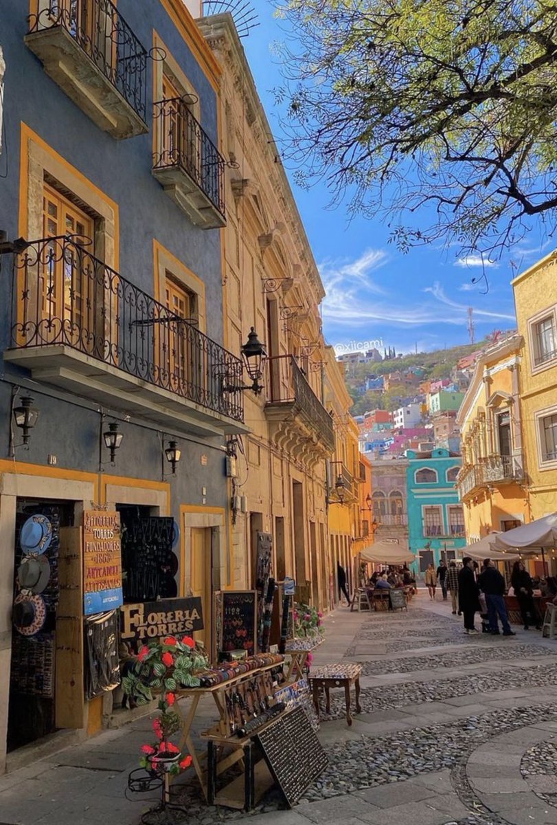 WORLD 2026 🌊 tweet media