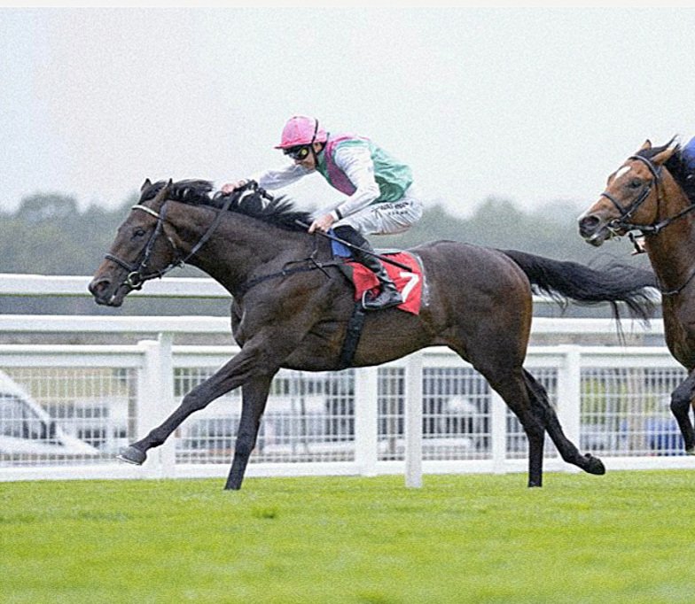 The 2000 Guineas tweet media