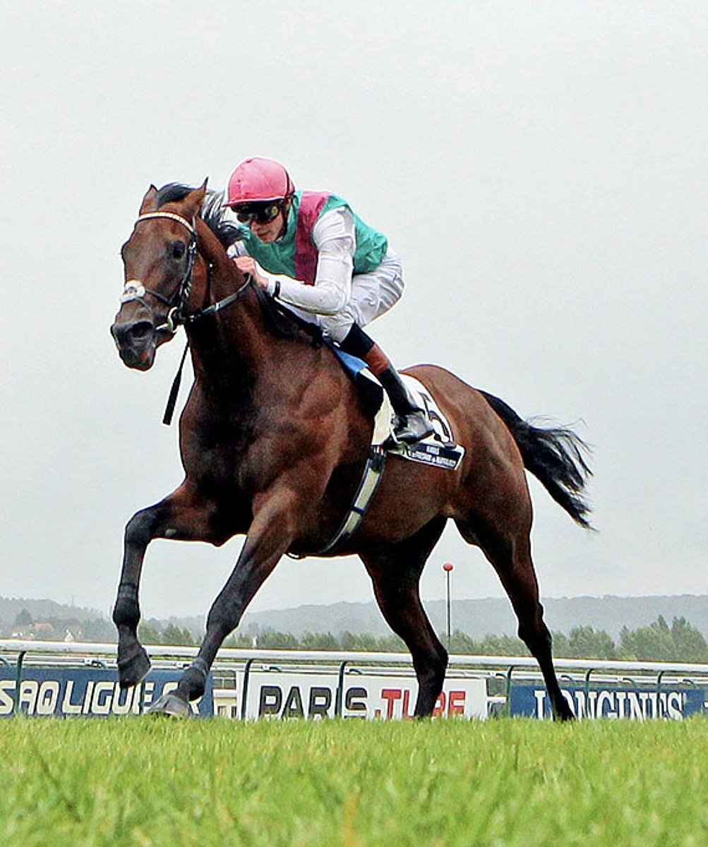 The 2000 Guineas tweet media