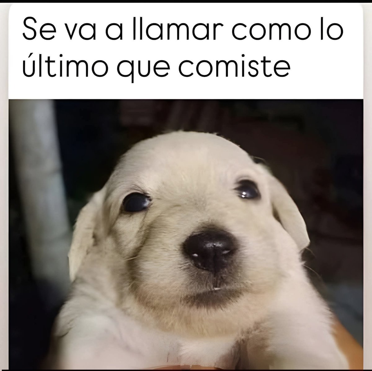 Jv El Rey Azul 👑 tweet media