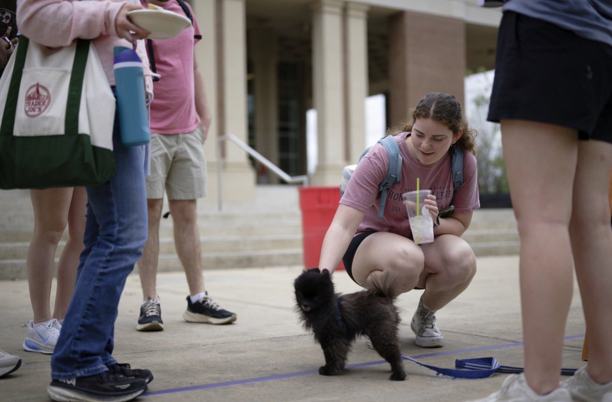 OleMiss's tweet photo. Happy days on campus!

#HottyToddy https://t.co/rQIztXZ40z