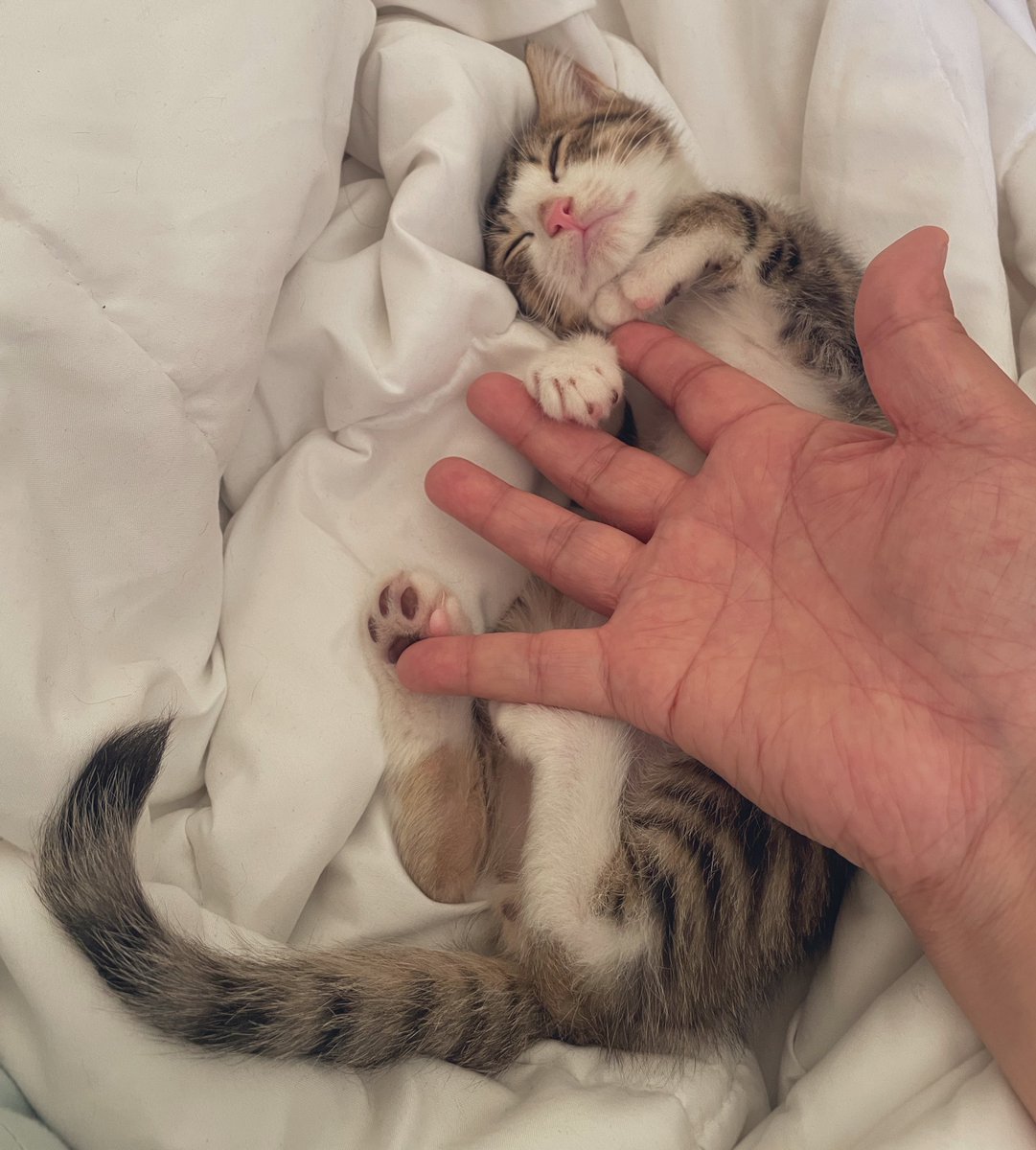 ゆーきん@釣りをする人 tweet media