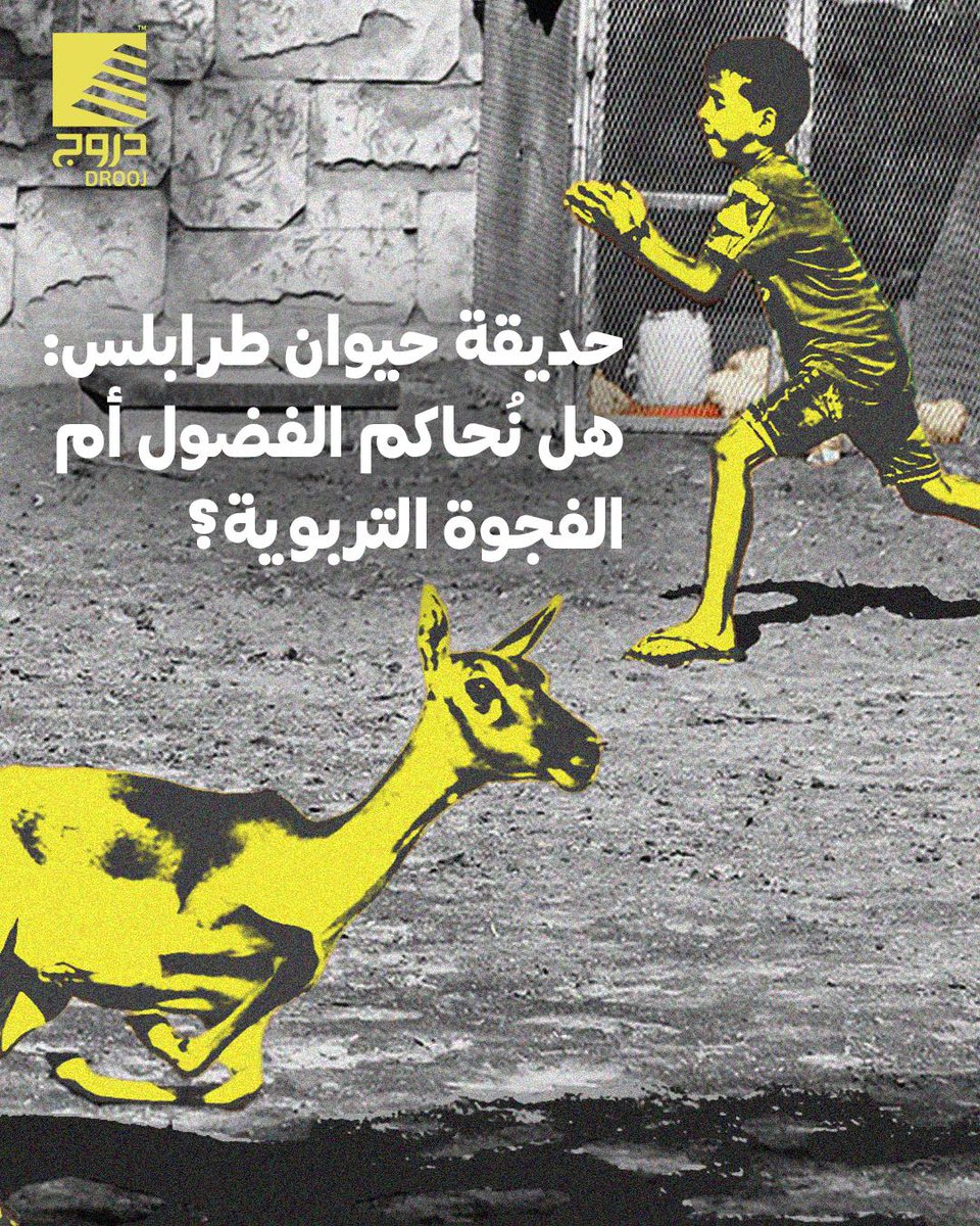 دروج Drooj tweet media