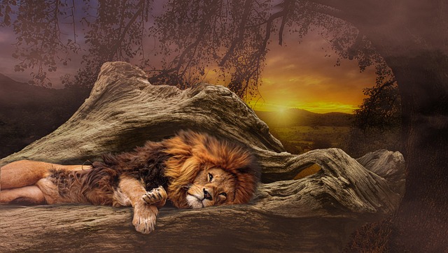 Cloyd Marcon tweet media